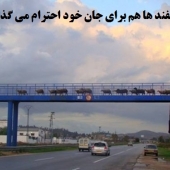 پل عابر پیاده