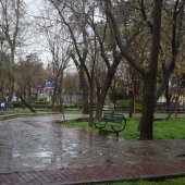 آغاز باران های بهاری