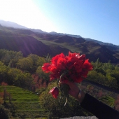 روستای ییلاقی بلاش آباد در چهار فصل