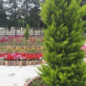 گزارش تصویری از پارک ها و معابر عمومی سبزوار سبز و زیبا