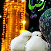 ولادت امام رضا(ع)
