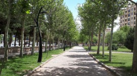 عکس: امید برومندی - پارک لاله معروف به پارک شهربازی - سبزوار